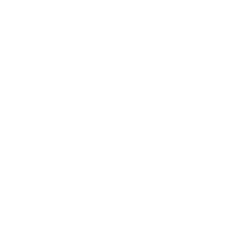 Salem College White Logo