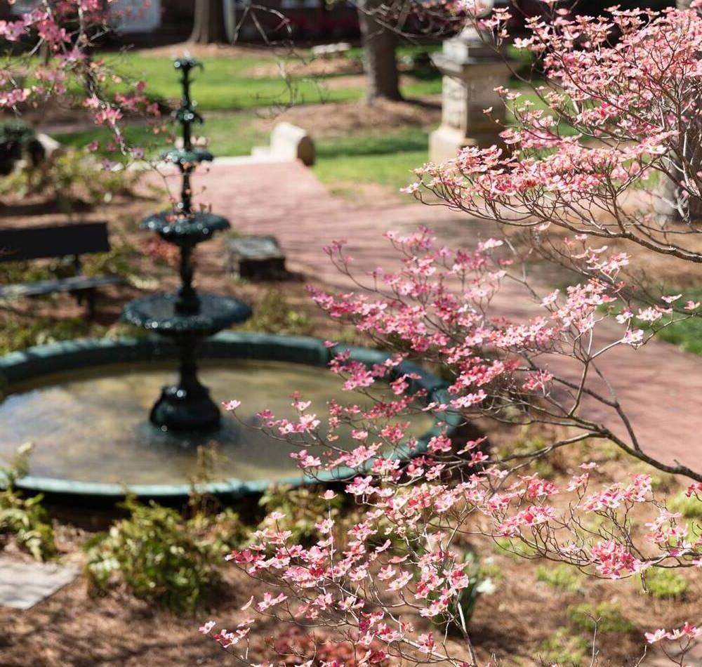 Spring foliage on campus of Salem College