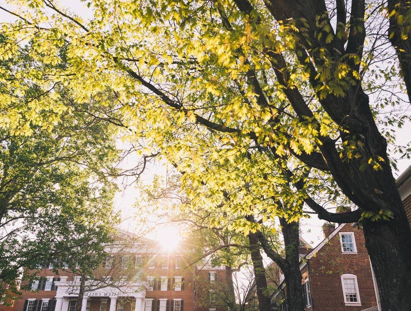 View of Salem College 校园 through the trees
